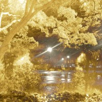 Diana App Review Pics 214©JamesECockroft 20140110