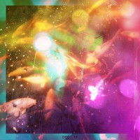 Diana App Review Pics 216©JamesECockroft 20140111