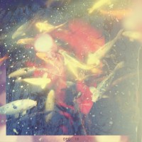 Diana App Review Pics 217©JamesECockroft 20140111