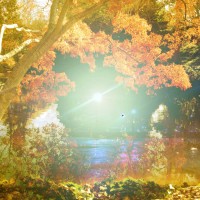 Diana App Review Pics 24©JamesECockroft 20140110