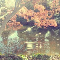 Diana App Review Pics 25©JamesECockroft 20140110