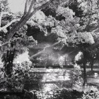 Diana App Review Pics 29©JamesECockroft 20140110