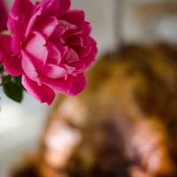 7 52 48 Thanksgiving21©JamesECockroft 20131128