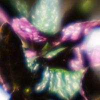 7 52 4914©JamesECockroft 20131204