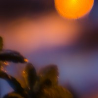 7 52 4918©JamesECockroft 20131206