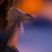 7 52 4921©JamesECockroft 20131206