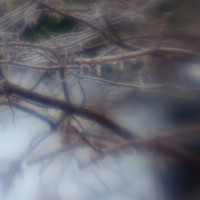 7 52 4922©JamesECockroft 20131206