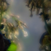 7 52 495©JamesECockroft 20131204