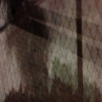 7 52 5026©JamesECockroft 20131214