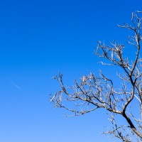 7 52 5129©JamesECockroft 20131215