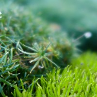 7 52 513©JamesECockroft 20131215