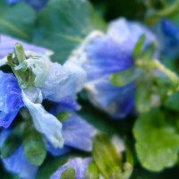 7 52 514©JamesECockroft 20131215