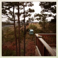 Arkansas December 201376©JamesECockroft 20131222