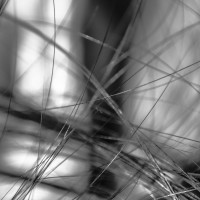 In a network of lines that intersect ©JamesECockroft 20131231