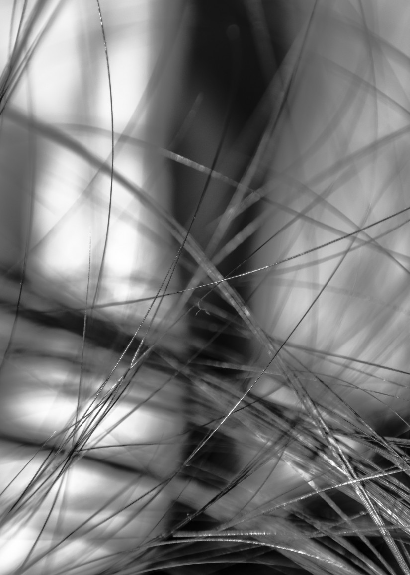 In a network of lines that intersect ©JamesECockroft 20131231