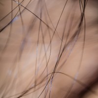 MM 20131230 Hair Studies5©JamesECockroft 20131229