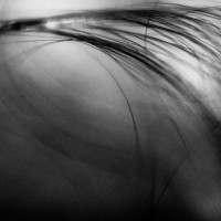 drawing with light ©JamesECockroft 20131231