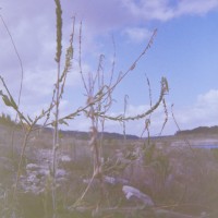 2014 Anniversary Protest Etc.10©JamesECockroft 20141224