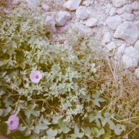 2014 Anniversary Protest Etc.5©JamesECockroft 20141224