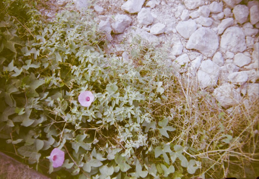 2014 Anniversary Protest Etc.5©JamesECockroft 20141224