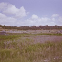 2014 Anniversary Protest Etc.9©JamesECockroft 20141224