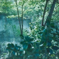 2014 Arboretum Lake Carolyn Random23©JamesECockroft 20141224
