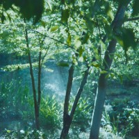 2014 Arboretum Lake Carolyn Random24©JamesECockroft 20141224