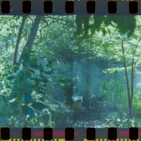 2014 Arboretum Lake Carolyn Random25©JamesECockroft 20141224