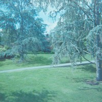 2014 Arboretum Lake Carolyn Random27©JamesECockroft 20141224