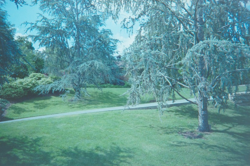 2014-Arboretum, Lake Carolyn, Random|27|©JamesECockroft-20141224