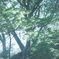 2014 Arboretum Lake Carolyn Random28©JamesECockroft 20141224