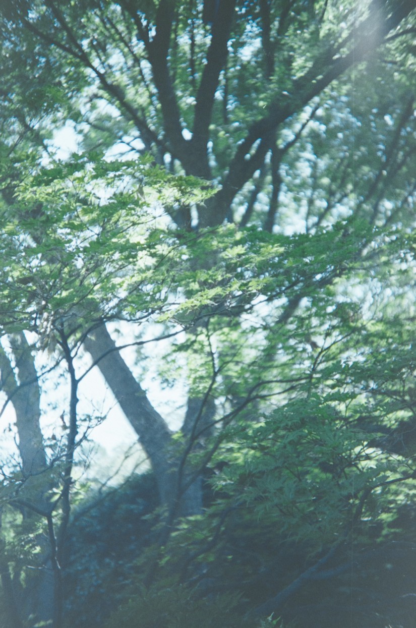 2014-Arboretum, Lake Carolyn, Random|28|©JamesECockroft-20141224