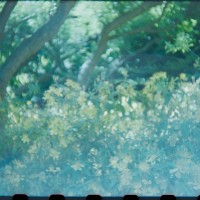 2014 Arboretum Lake Carolyn Random31©JamesECockroft 20141224