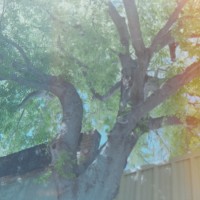 2014 Ricoh 35 ZF Fuji Pro 400H31©JamesECockroft 20141222