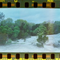 2014 Ricoh 35 ZF Fuji Pro 400H45©JamesECockroft 20141222