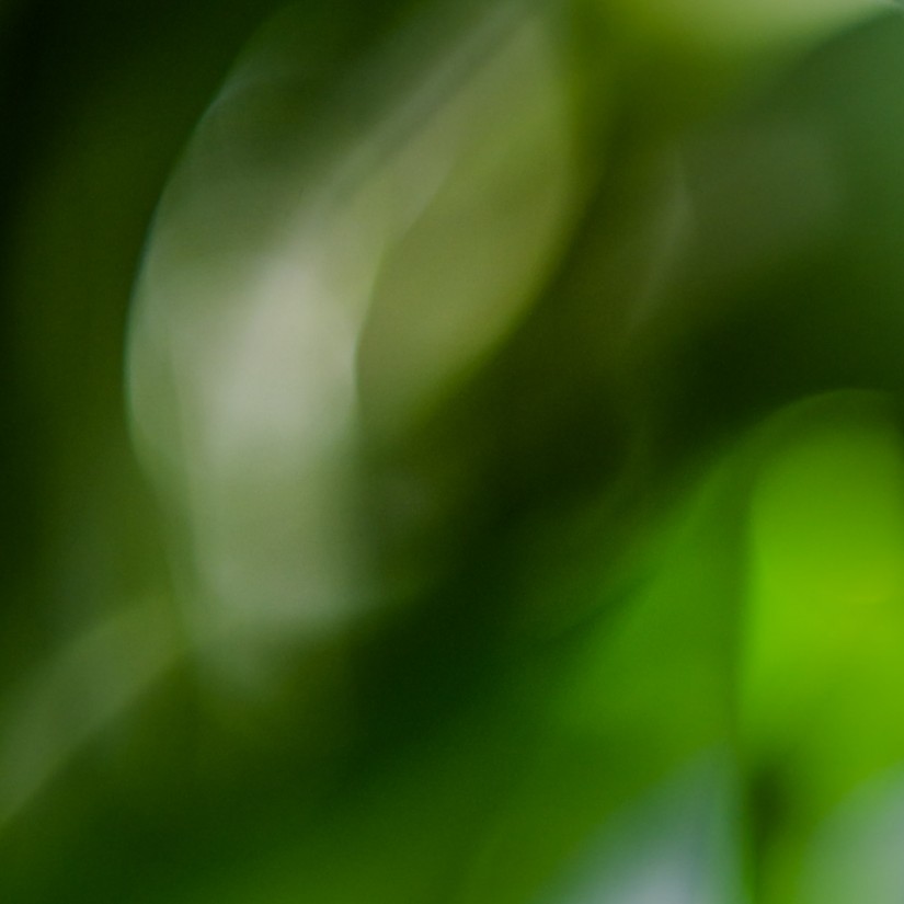 AbstraktesBild ©JamesECockroft 20131231 1 2