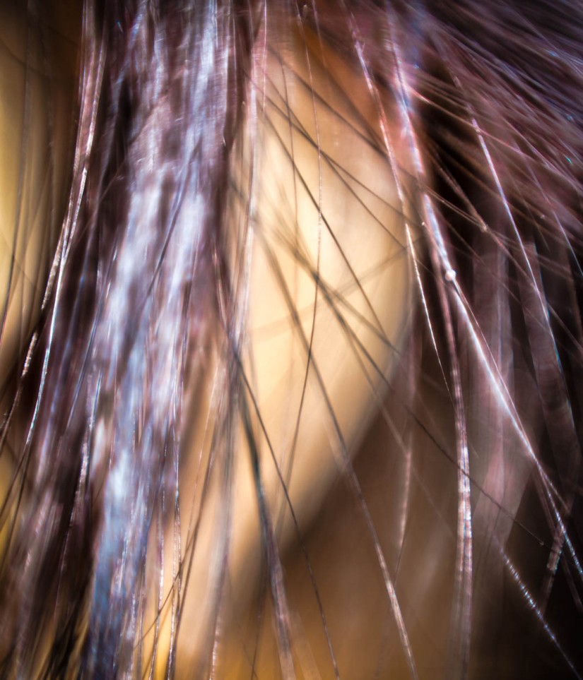 Cindi Lauper©JamesECockroft 20140116