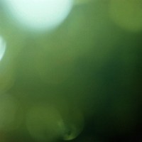 Espio test Arkansas4©JamesECockroft 20131231