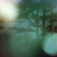 Espio test Arkansas9©JamesECockroft 20131231