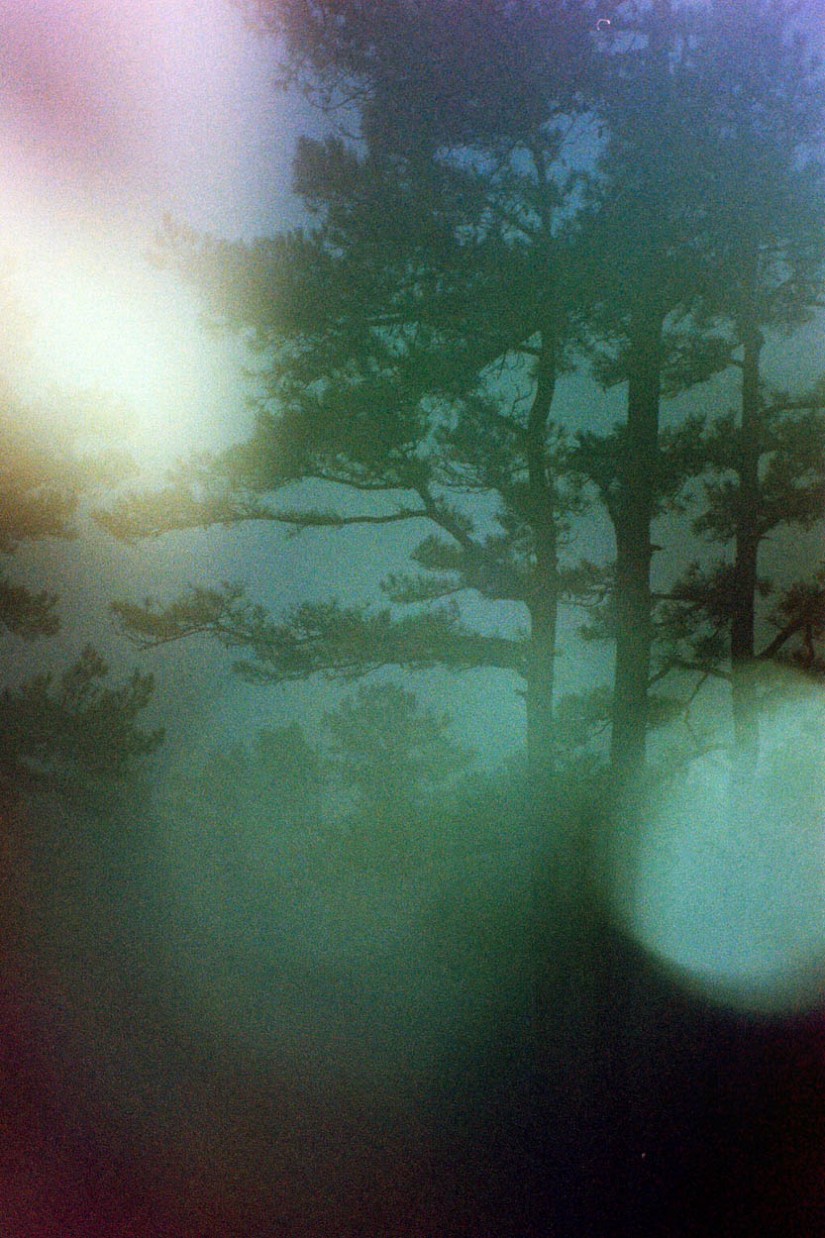 Espio test Arkansas9©JamesECockroft 20131231