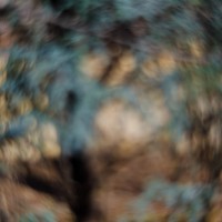 Fort Worth Botanical Gardens D700024©JamesECockroft 20140104