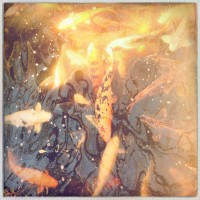 Fort Worth Botanical Gardens iPhone33©JamesECockroft 20140104