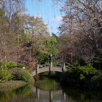 Hana at the Fort Worth Botanical Gardens LX744©JamesECockroft 20140104