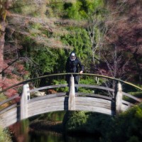 Hana at the Fort Worth Botanical Gardens©JamesECockroft 20140104