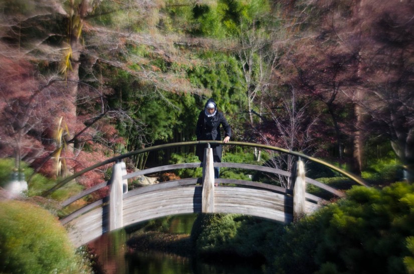 Hana at the Fort Worth Botanical Gardens©JamesECockroft 20140104
