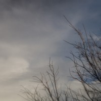 Zomb E Sky7©JamesECockroft 20140122