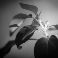 ohne titel24©JamesECockroft 20140125