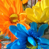 Unnatural13©JamesECockroft 20140130