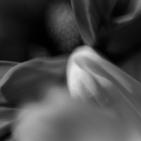 Unnatural17©JamesECockroft 20140130