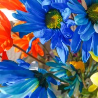 Unnatural1©JamesECockroft 20140130